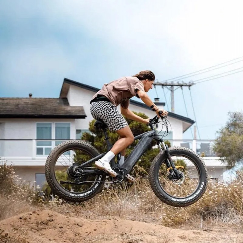 D7 / Full Suspension Electric Hunting Bike D7 / Full Suspension Electric Hunting Bike