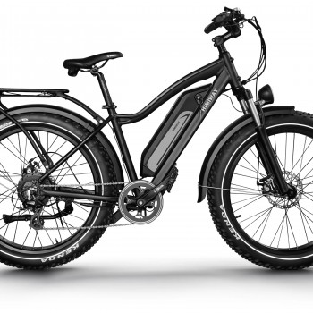 D3(Cruiser) / Long Range Fat Tire Electric Bike