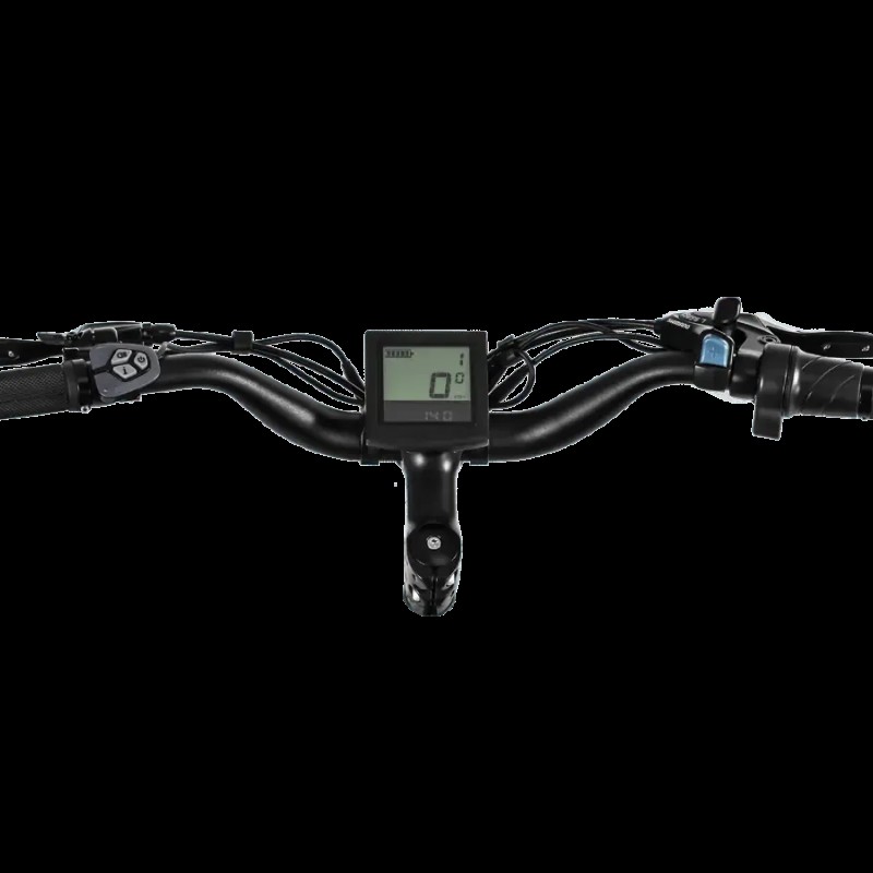 D3(Cruiser) / Long Range Fat Tire Electric Bike D3(Cruiser) / Long Range Fat Tire Electric Bike