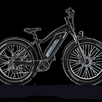 D3(Cruiser) / Long Range Fat Tire Electric Bike