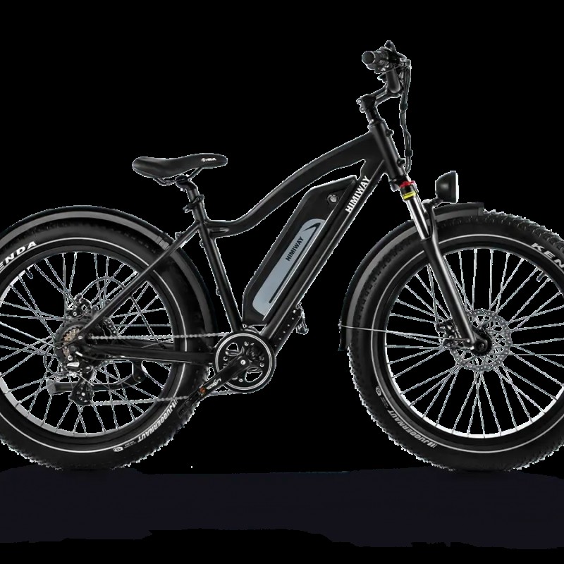 D3(Cruiser) / Long Range Fat Tire Electric Bike D3(Cruiser) / Long Range Fat Tire Electric Bike