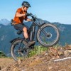 D3(Cruiser) / Long Range Fat Tire Electric Bike