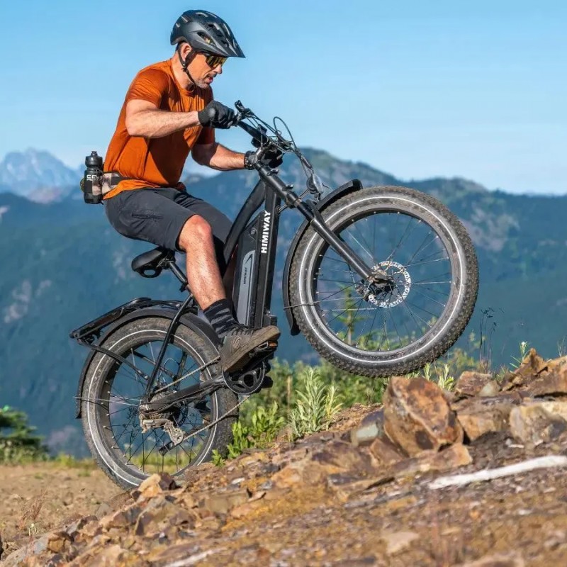 D3(Cruiser) / Long Range Fat Tire Electric Bike D3(Cruiser) / Long Range Fat Tire Electric Bike