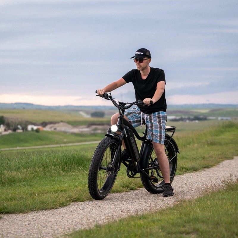 D3(Cruiser) / Long Range Fat Tire Electric Bike D3(Cruiser) / Long Range Fat Tire Electric Bike