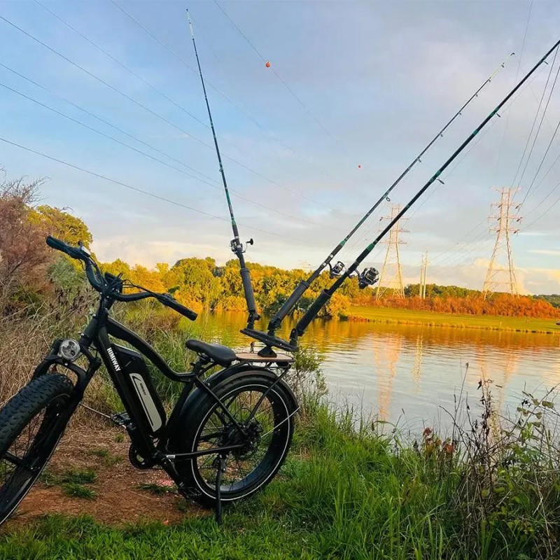 D3(Cruiser) / Long Range Fat Tire Electric Bike D3(Cruiser) / Long Range Fat Tire Electric Bike