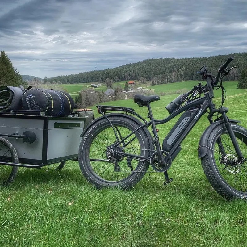 D3(Cruiser) / Long Range Fat Tire Electric Bike D3(Cruiser) / Long Range Fat Tire Electric Bike