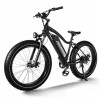 D3(Cruiser) / Long Range Fat Tire Electric Bike