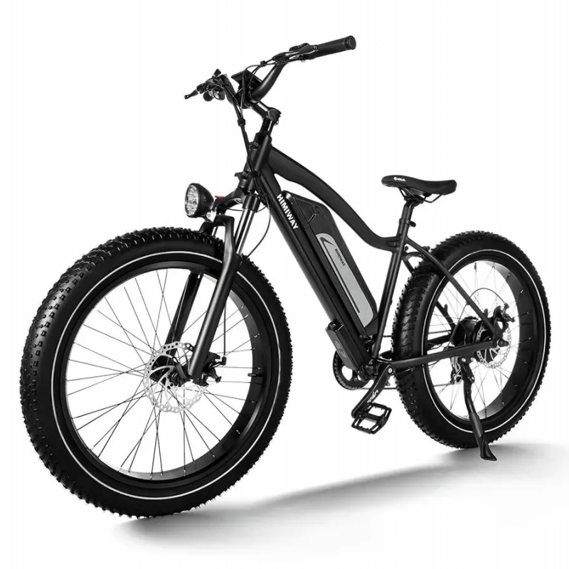 D3(Cruiser) / Long Range Fat Tire Electric Bike D3(Cruiser) / Long Range Fat Tire Electric Bike