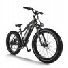 D3(Cruiser) / Long Range Fat Tire Electric Bike
