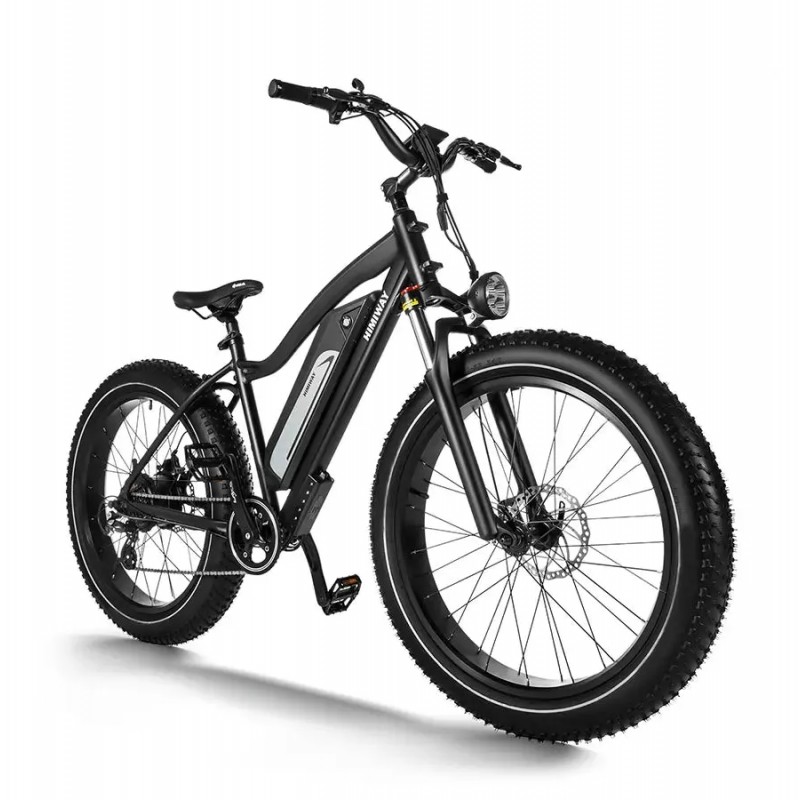 D3(Cruiser) / Long Range Fat Tire Electric Bike D3(Cruiser) / Long Range Fat Tire Electric Bike