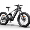 D7 Pro / Softail Electric Mountain Bike