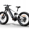 D7 Pro / Softail Electric Mountain Bike