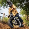 D7 Pro / Softail Electric Mountain Bike