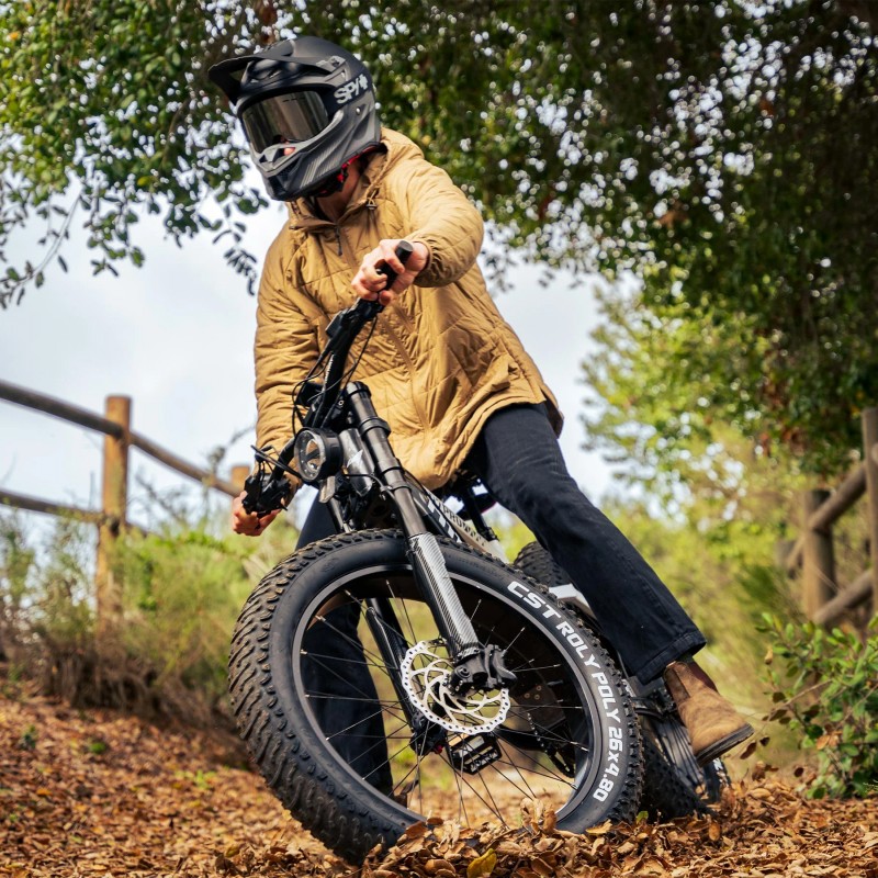 D7 Pro / Softail Electric Mountain Bike D7 Pro / Softail Electric Mountain Bike