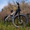 D7 Pro / Softail Electric Mountain Bike