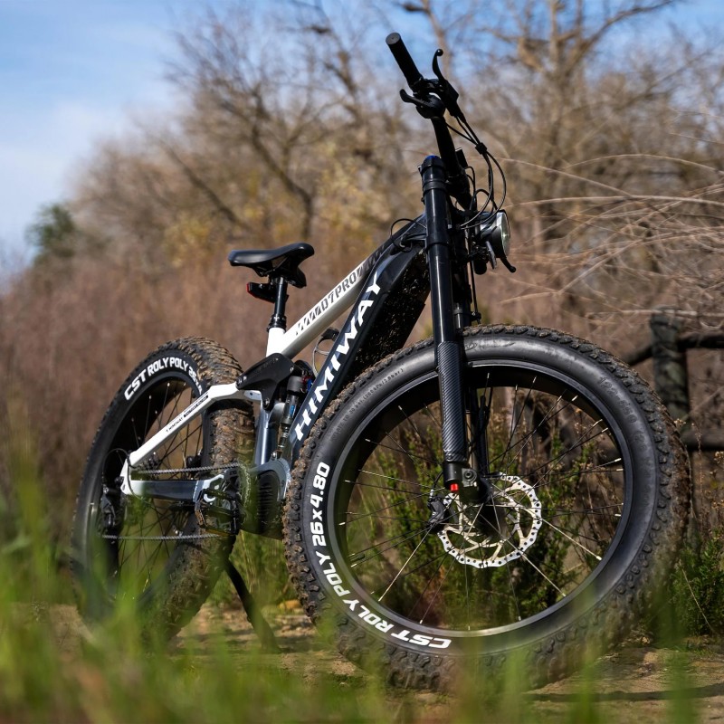 D7 Pro / Softail Electric Mountain Bike D7 Pro / Softail Electric Mountain Bike