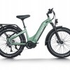 D5 Pro ST / Premium All-terrain Electric Fat Bike