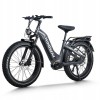 D5 Pro ST / Premium All-terrain Electric Fat Bike