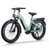 D5 Pro ST / Premium All-terrain Electric Fat Bike