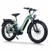 D5 Pro ST / Premium All-terrain Electric Fat Bike