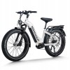 D5 Pro ST / Premium All-terrain Electric Fat Bike