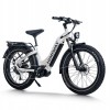 D5 Pro ST / Premium All-terrain Electric Fat Bike