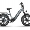 Big Dog / Electric Cargo Bike