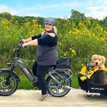 Big Dog / Electric Cargo Bike