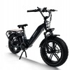 Big Dog / Electric Cargo Bike