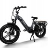 Big Dog / Electric Cargo Bike