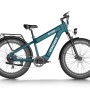 D5 Plus(Rhino) / Dual Battery Off-road Electric Bike