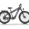 D5 Plus(Rhino) / Dual Battery Off-road Electric Bike