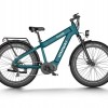 D5 Plus(Rhino) / Dual Battery Off-road Electric Bike
