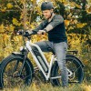 D5 Plus(Rhino) / Dual Battery Off-road Electric Bike