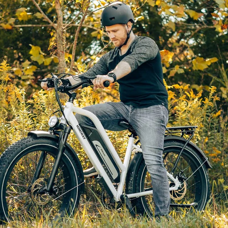 D5 Plus(Rhino) / Dual Battery Off-road Electric Bike D5 Plus(Rhino) / Dual Battery Off-road Electric Bike