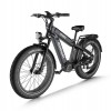 D5 Plus(Rhino) / Dual Battery Off-road Electric Bike