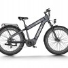 D5 Plus(Rhino) / Dual Battery Off-road Electric Bike