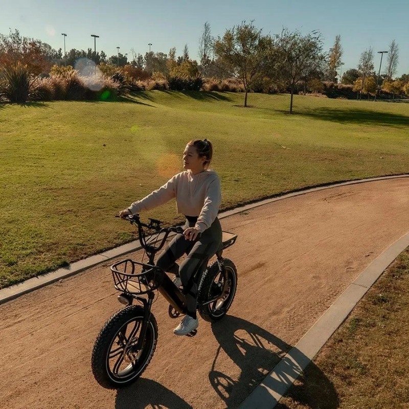 Escape Pro / Long Range Moped-Style E-Bike ST Escape Pro / Long Range Moped-Style E-Bike ST