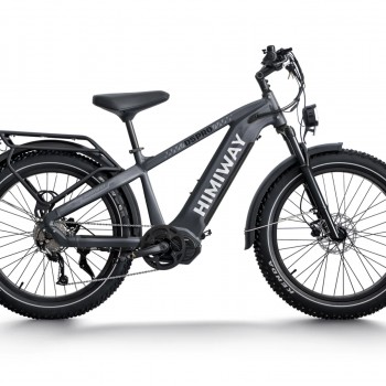 D5 Pro / Premium All-terrain Electric Fat Bike