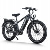 D5 Pro / Premium All-terrain Electric Fat Bike