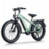 D5 Pro / Premium All-terrain Electric Fat Bike