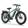 D5 Pro / Premium All-terrain Electric Fat Bike