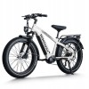 D5 Pro / Premium All-terrain Electric Fat Bike