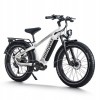 D5 Pro / Premium All-terrain Electric Fat Bike