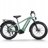 D5 Pro / Premium All-terrain Electric Fat Bike