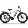 D5 Pro / Premium All-terrain Electric Fat Bike
