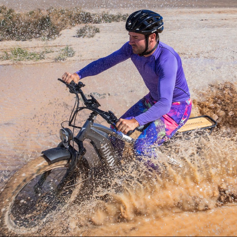 D5 Pro / Premium All-terrain Electric Fat Bike D5 Pro / Premium All-terrain Electric Fat Bike