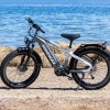 D5 Pro / Premium All-terrain Electric Fat Bike