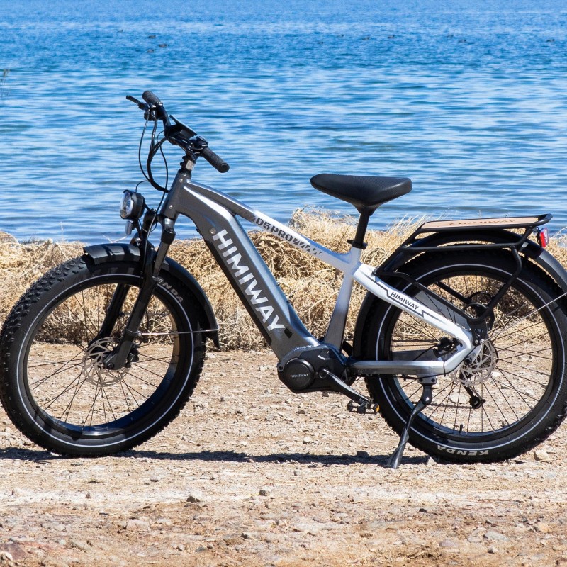 D5 Pro / Premium All-terrain Electric Fat Bike D5 Pro / Premium All-terrain Electric Fat Bike