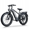 D5 Pro / Premium All-terrain Electric Fat Bike